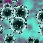 Covid19 Nigeria: Abuja Set To Scale-up Preventive Measures- Shuts down schools. Coronav-1