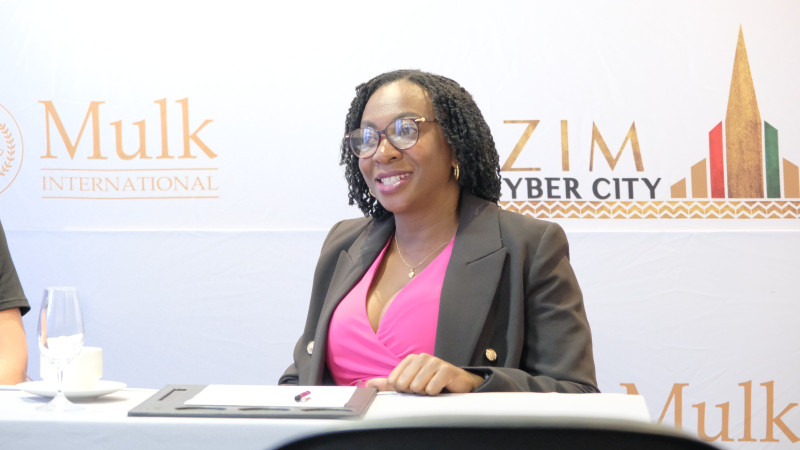 Zim Cyber City CEO Ms Tendayi Hlupo-Mamvura
