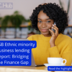 LSB Ethnic minority business lending Report: Bridging the Finance Gap LSB Ethnic Minority business funding report