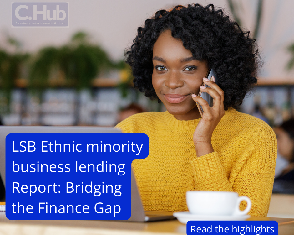 LSB Ethnic Minority business funding report